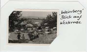 streuobst-web-10
