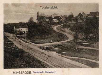 streuobst-web-44