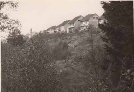 streuobst-web-49