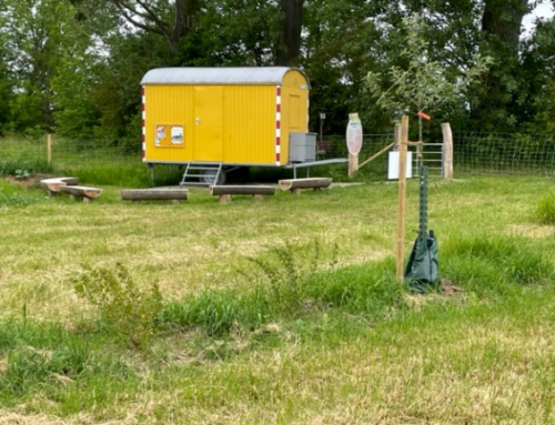 Kinderbaumschule Mingerode
