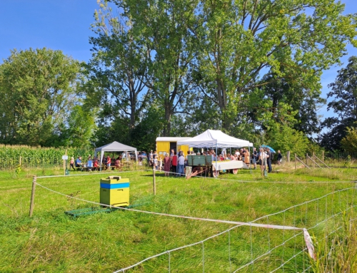 Kinderbaumschule in Mingerode eingeweiht