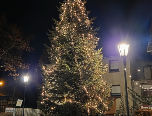 Mingeröder Bürgerbaum